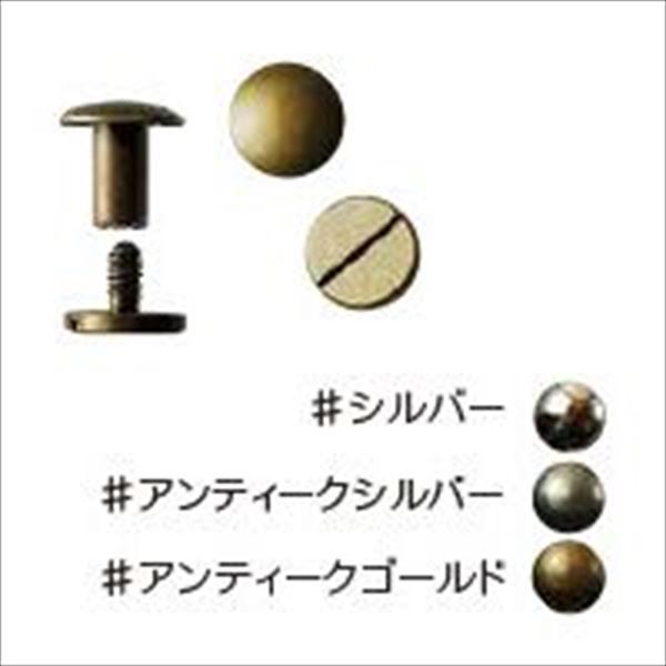 JTMP-201直径10mm足長 　　ﾈｼﾞ式ｶｼﾒ